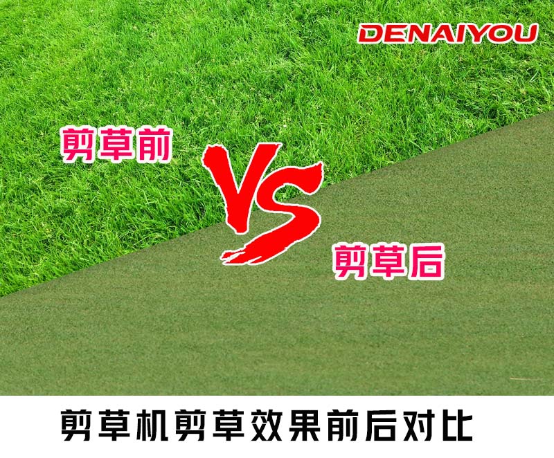 足球场草坪养护常识 | 告诉你定期修剪草坪的真相