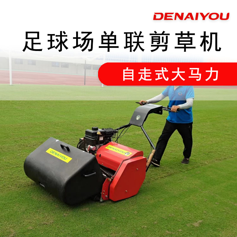 德耐优三月份草坪养护要点提醒，草坪养护要点