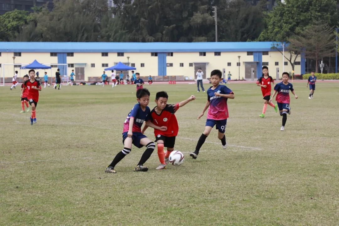 双料冠军！旗峰小学蝉联三年！里水校园足球再创辉煌！